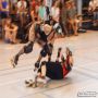 20140628_15-47-50_20140628_15-47-50_IMG_1129